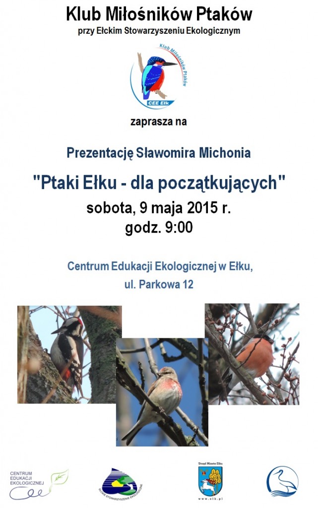 plakat-ptaki