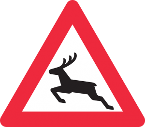 deer-44157_640